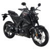 125 ROADSTER R reference:ZT125-U-MB