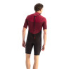 SHORTY PERTH 3/2MM JOBE ROUGE reference:303621003-S