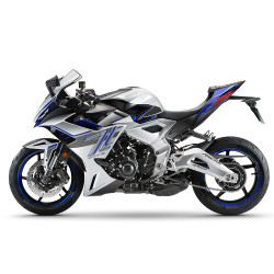ZT703RR-GB-2025 GRISE BLEU