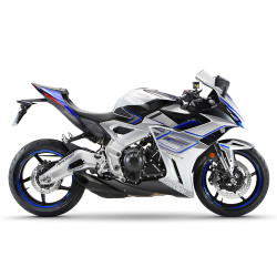 ZT703RR-GB-2025 GRISE BLEU