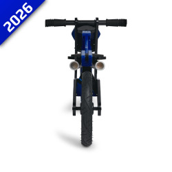 DRAISIENNE EN BOIS R9