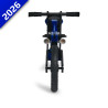 DRAISIENNE EN BOIS R9 reference:QMN26MP6E000