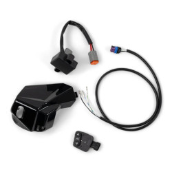 MODULE DE CORRECTEUR D'ASIETTE À CAPACITÉ ÉTENDUE (VTS) SEA-DOO - SPARK IBR 2017 - 2023