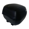 TOP CASE CARBON 30 LITRES KYMCO reference:KA-01-0792