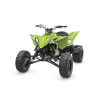 YFZ450R SE reference:YFZ450R-SE-ACID-GREEN