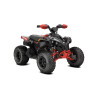 RENEGADE X XC 110 EFI 2026 reference:RENEGADE-X-XC-110-EFI-BLACK-LEGION-RED-2026